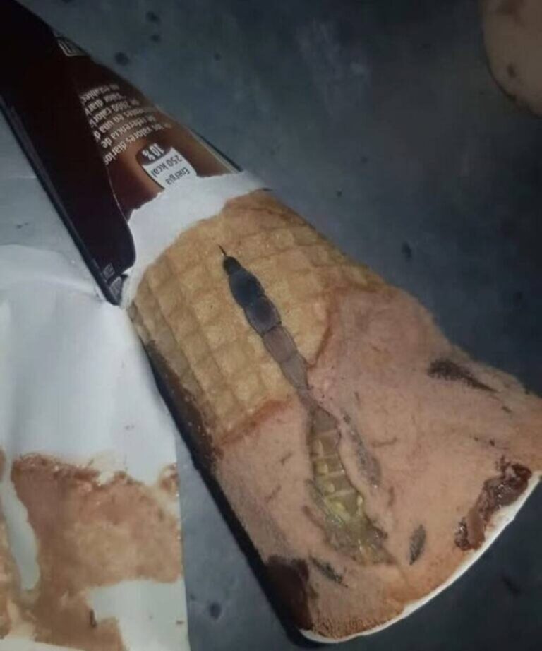 My Daughter Found Something Terrifying Hidden Inside Her Chocolate Ice Cream