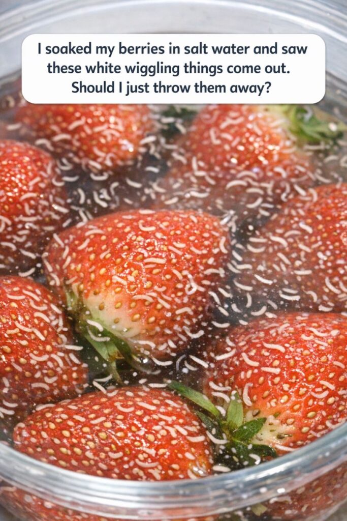 I soaked my berries in salt water and saw these white wiggling things come out. Should I just throw them away?