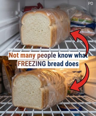 Here’s what happens when bread goes into the freezer. 👇👇