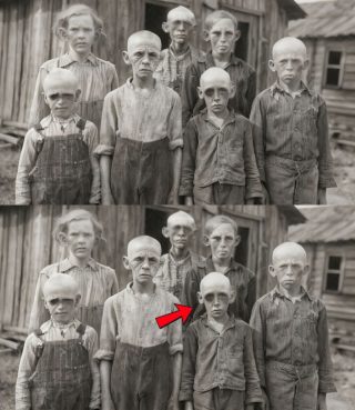 The Hollow Ridge children were found in 1968: what happened next defied nature. The children …
