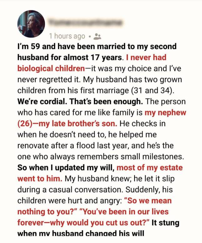 I Gave My Nephew Everything — My Husband’s Children Called It Betrayal