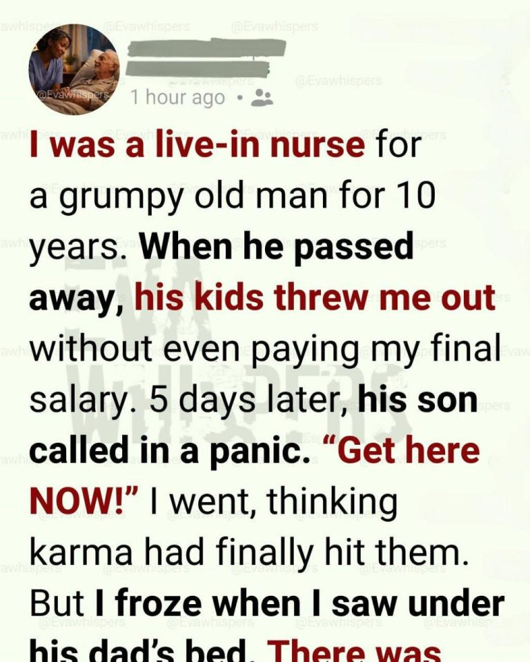 She Spent Ten Years Caring for an Elderly Man While His Family Ignored Her – Then They Found Something Hidden Under His Bed That Left Them Speechless